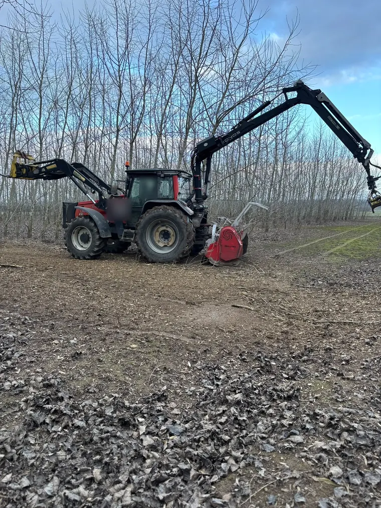 Schlepper mit Forstkran und Mulcher