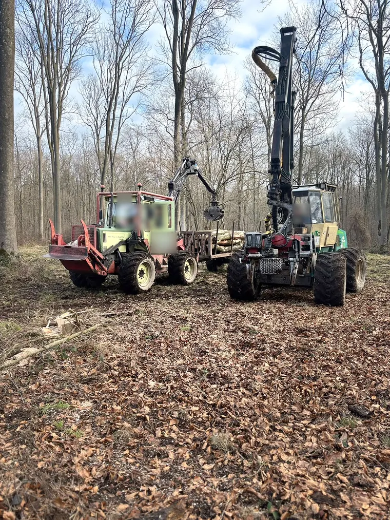 MB-trac mit beladenem Rückewagen neben einem Harvester im Laubwald.